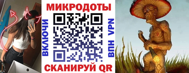закладка  Тында  Псилоцибиновые грибы Psilocybine cubensis 
